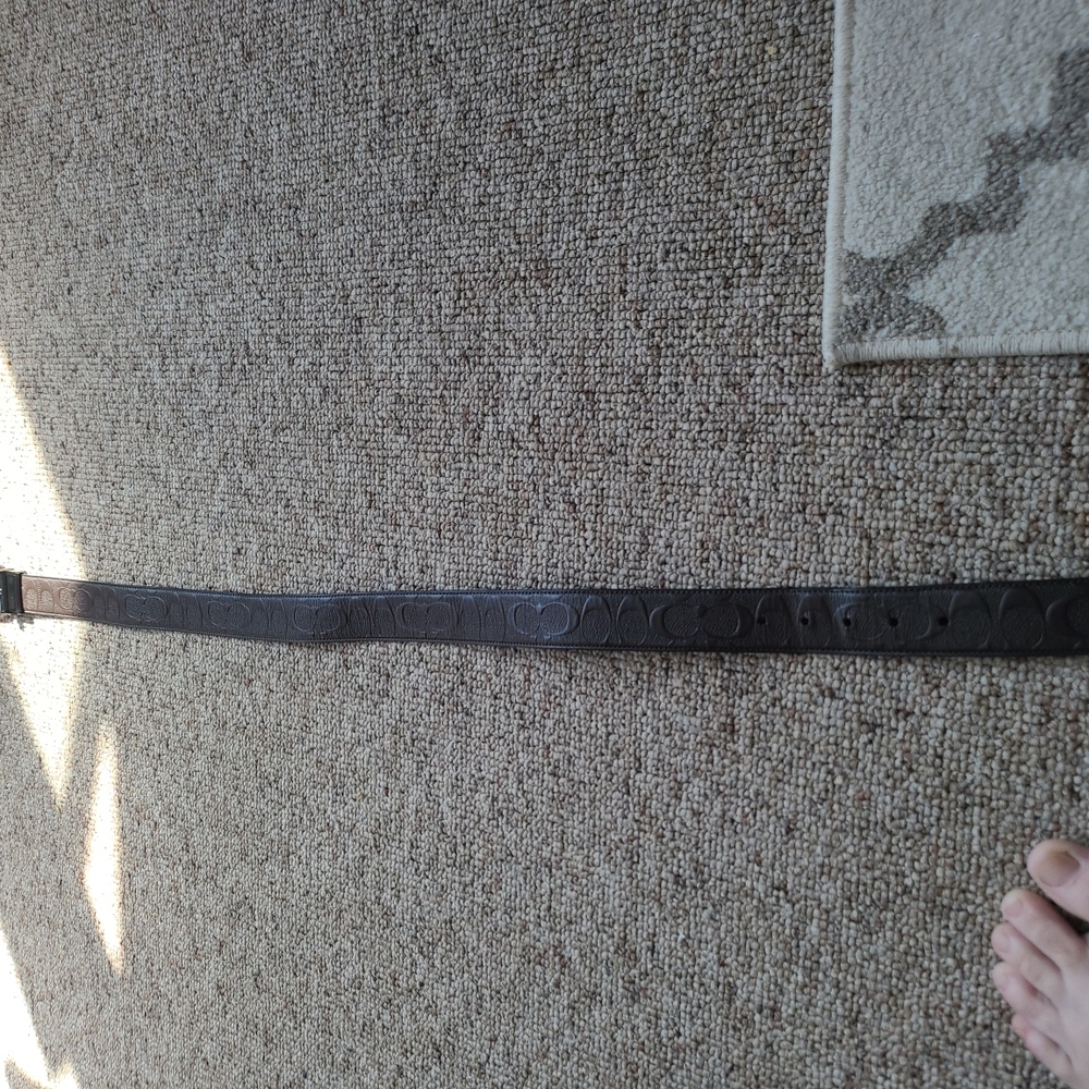 Belt - Picture 2 of 4
